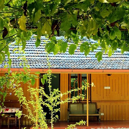 Marari Beach Pearl Homestay Mararikulam Ngoại thất bức ảnh