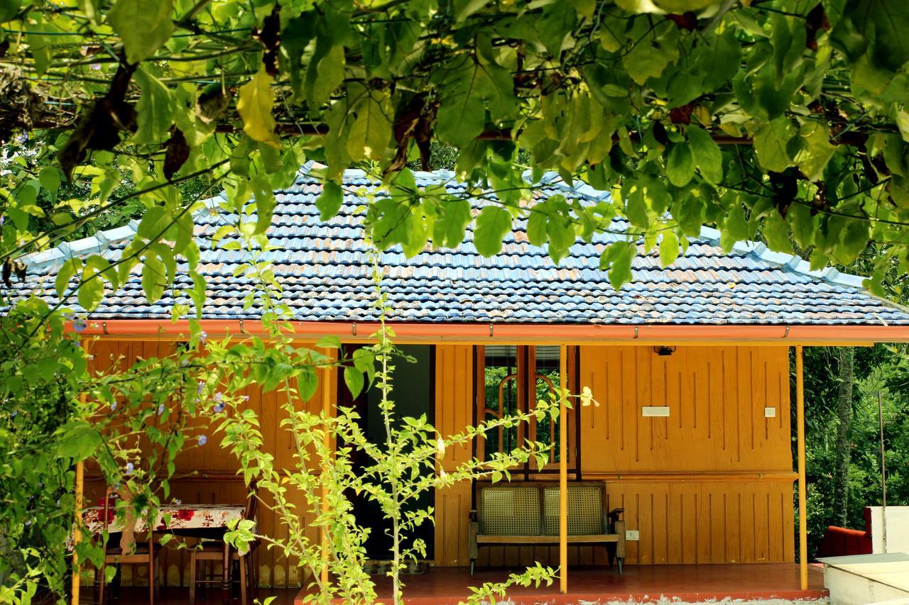 Marari Beach Pearl Homestay Mararikulam Ngoại thất bức ảnh
