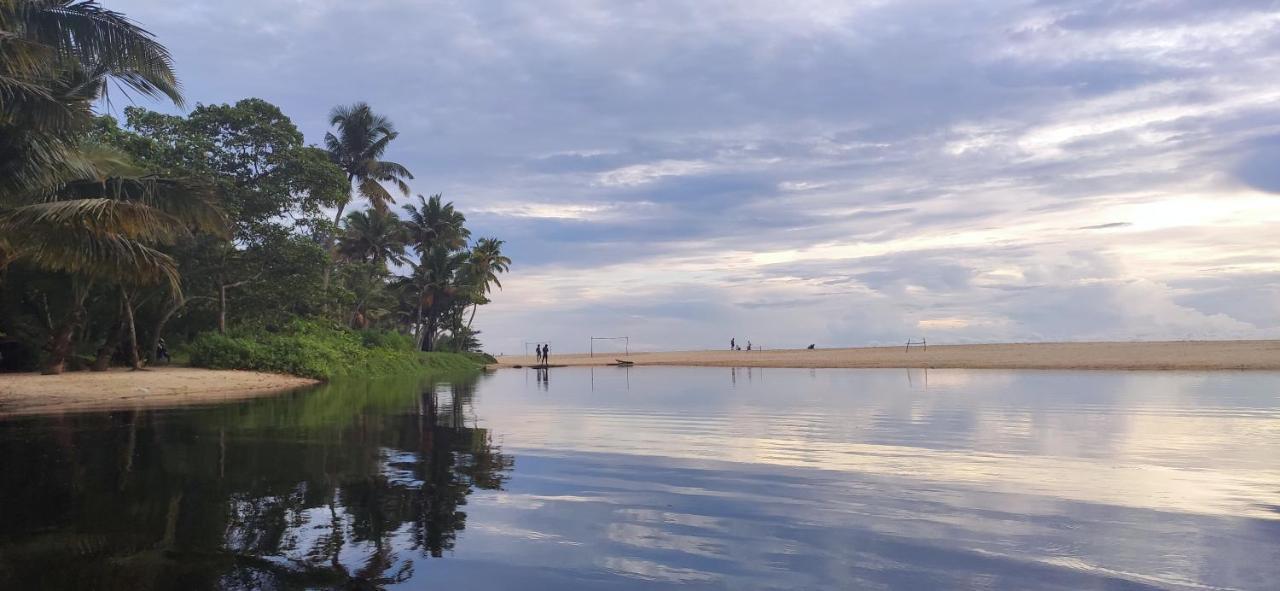 Marari Beach Pearl Homestay Mararikulam Ngoại thất bức ảnh